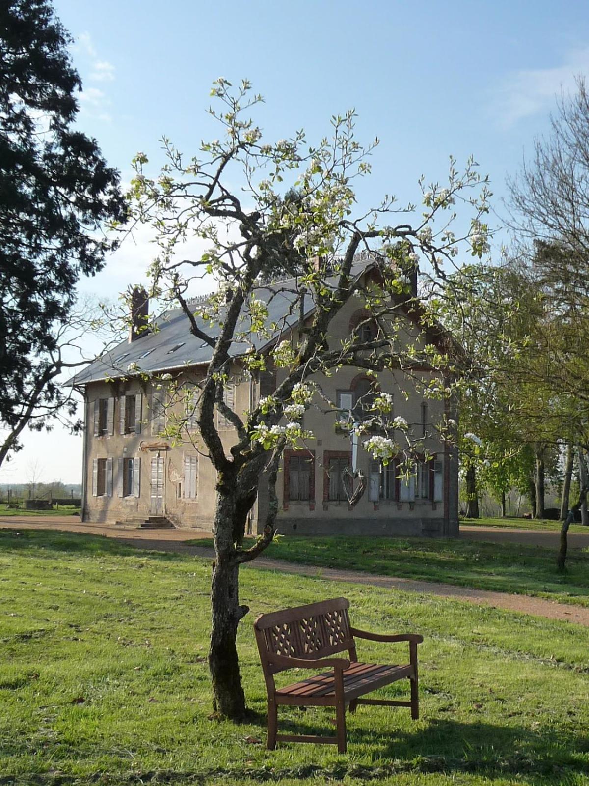 Saint-Saulge Domaine De Savigny B&B 외부 사진