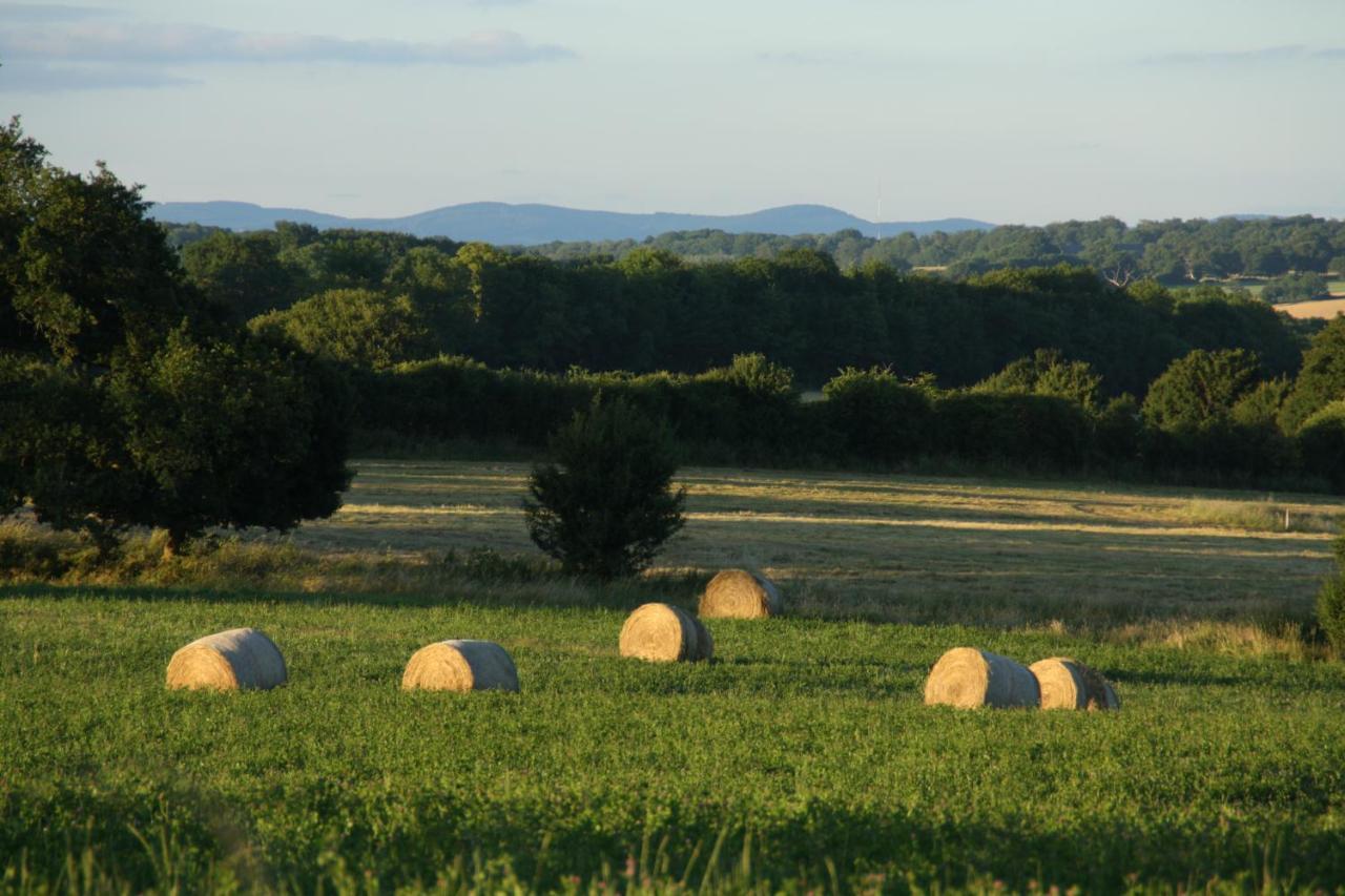 Saint-Saulge Domaine De Savigny B&B 외부 사진