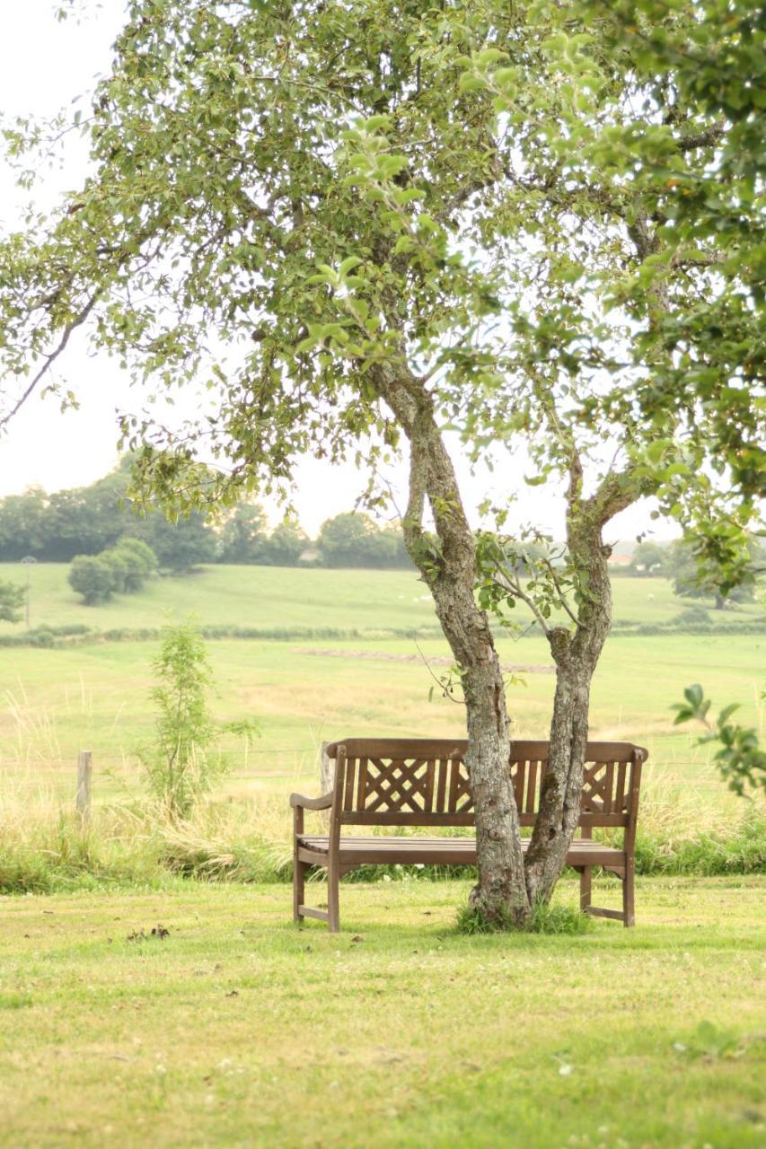 Saint-Saulge Domaine De Savigny B&B 외부 사진